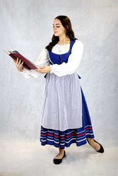 Belle Village Costume